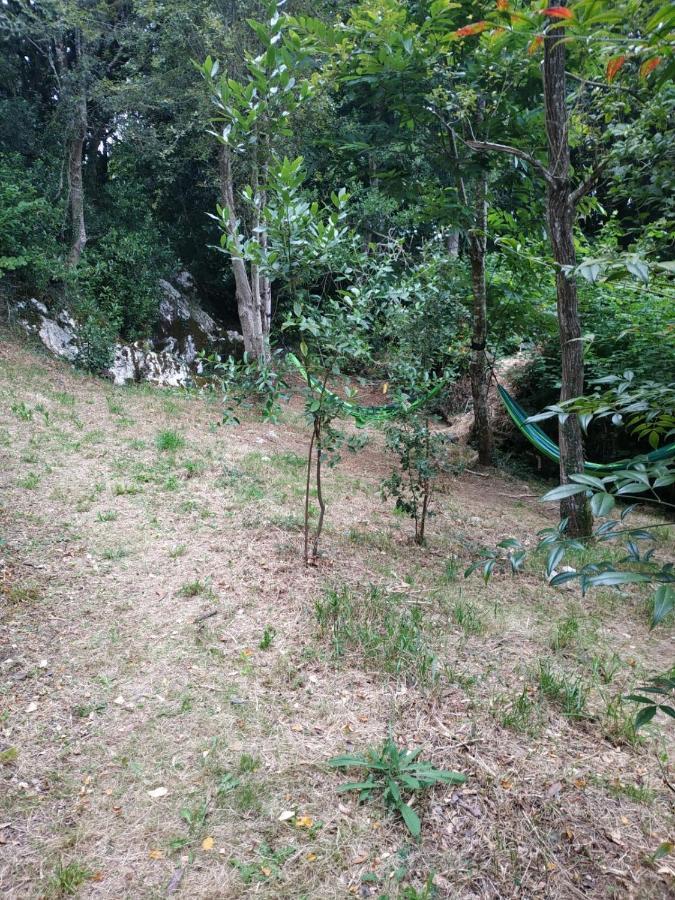 El Bosque De Pria Hotel Pineres