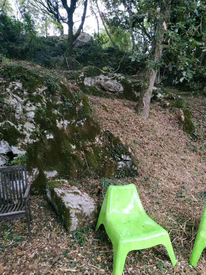 El Bosque De Pria *