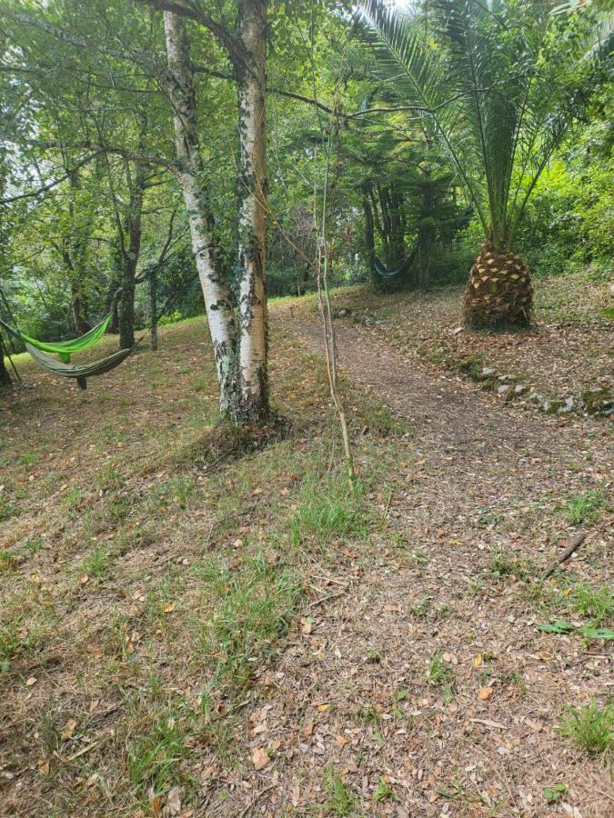 El Bosque De Pria Hotel